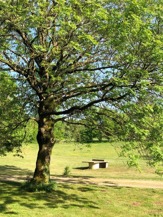 Domaine De Tapies 2 Gites Jusqu A 19 Personnes Cornus Bagian luar foto